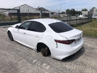 Alfa Romeo Giulia 2.2 d picture 2
