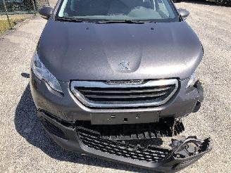 Peugeot 2008 1.2 picture 10