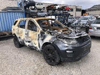Land Rover Discovery Discovery Sport 2.0D 4x4 picture 2