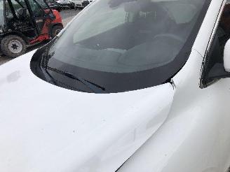 Renault Kadjar 1.2 TURBO picture 22