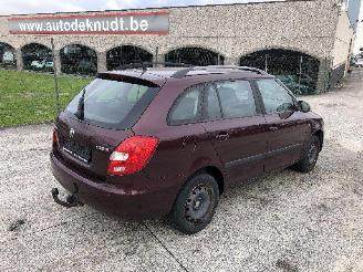 Schadeauto Skoda Fabia 1.2 TDI 2013/4