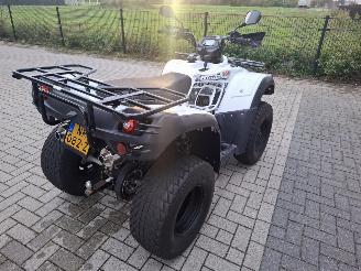 CFMoto  tgb blade 325 picture 5