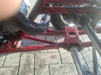 Yamaha  raptor 350 picture 8