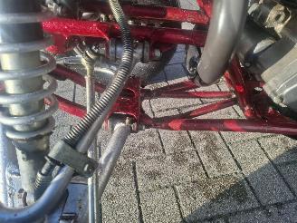 Yamaha  raptor 350 picture 11