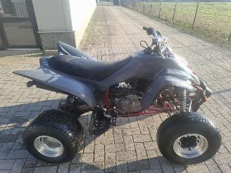 krockskadad bil motor Yamaha  raptor 350 2008/1