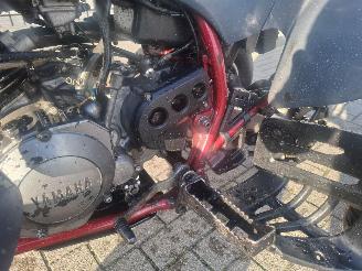 Yamaha  raptor 350 picture 10