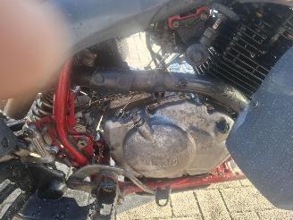 Yamaha  raptor 350 picture 9