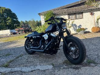 Harley-Davidson Sportster 1200 Forty eight picture 8