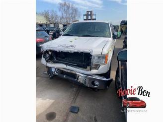 Salvage car Ford USA F-150 F-150 Standard Cab, Pick-up, 2014 5.0 Extended Cab 2013/4