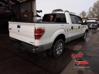 Ford USA F-150 F-150 Standard Cab, Pick-up, 2014 5.0 Extended Cab picture 5
