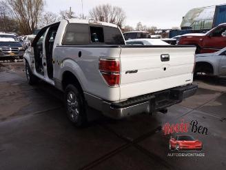 Ford USA F-150 F-150 Standard Cab, Pick-up, 2014 5.0 Extended Cab picture 6