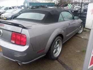 Ford Mustang GT handbak !!! picture 4