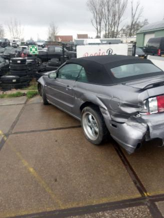 Ford Mustang GT handbak !!! picture 6