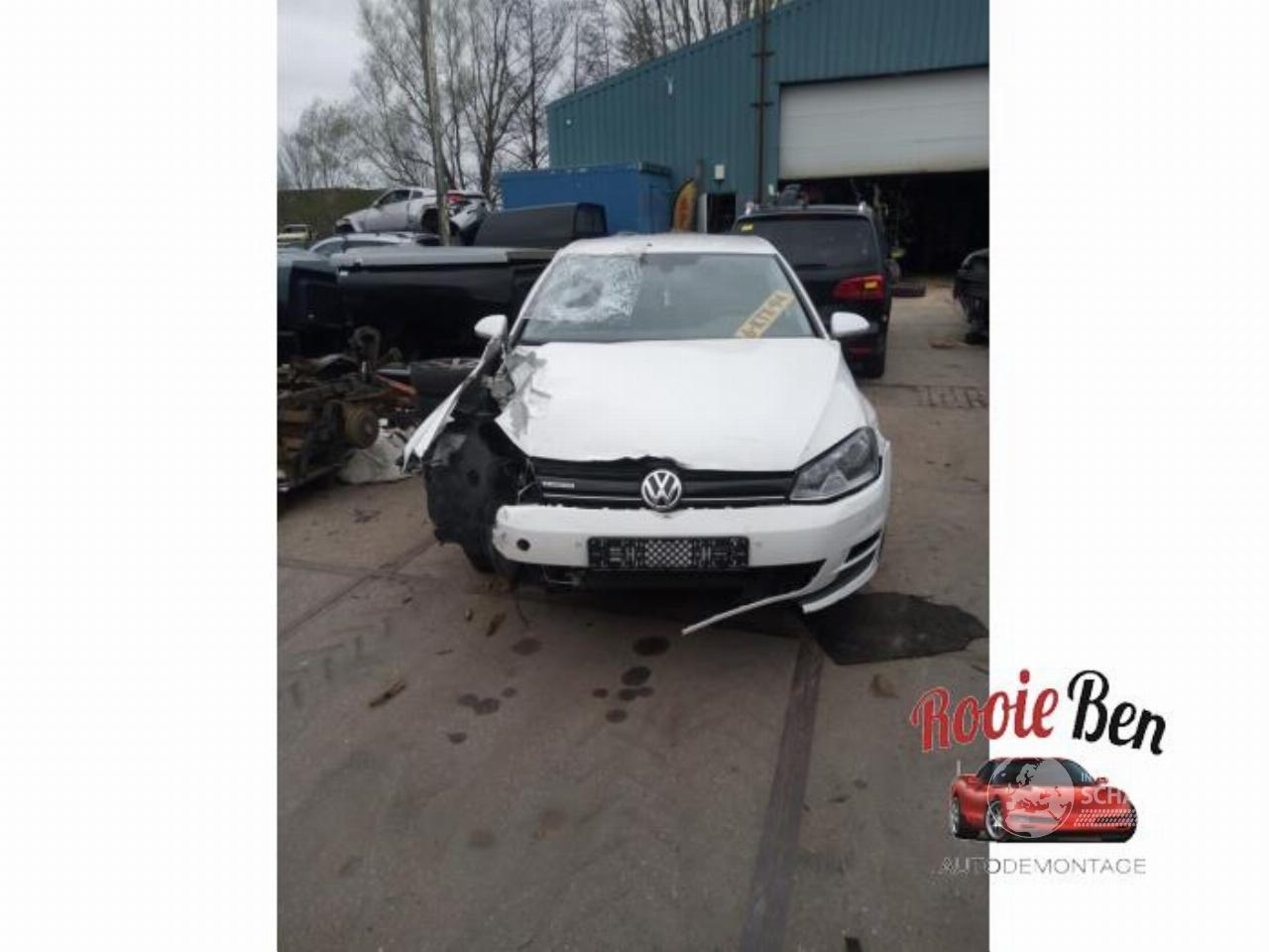 Volkswagen Golf Golf VII (AUA), Hatchback, 2012 / 2021 1.6 TDI BlueMotion 16V