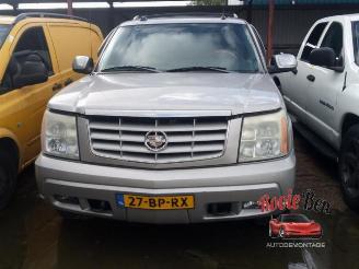 Salvage car Cadillac Escalade Escalade, SUV, 2014 / 2020 6.0 V8 4x4 2004/8