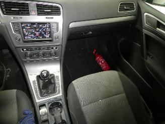 Volkswagen Golf 1.6 DVARIANT TRENDLI picture 12