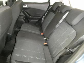 Ford Fiesta BUSINESS picture 14