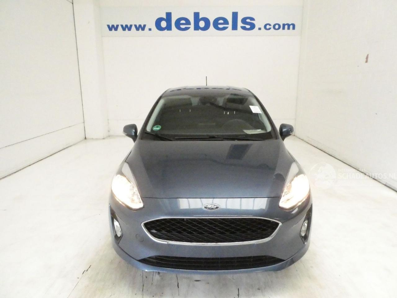 Ford Fiesta BUSINESS