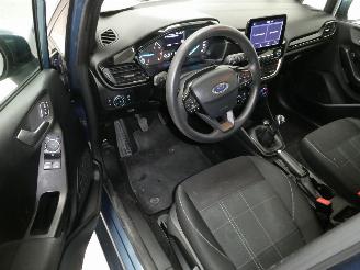 Ford Fiesta BUSINESS picture 12
