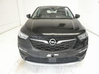Opel Grandland X INNOVATI picture 2
