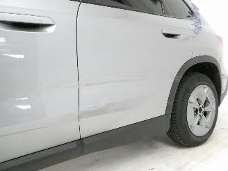 BMW X1 EDRIVE20 picture 5