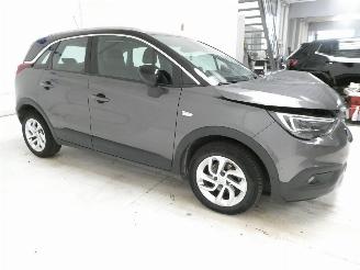 Opel Crossland X INNOVATI picture 10