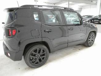 Jeep Renegade LONGITUDE picture 7
