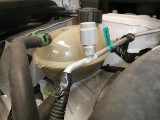 Renault Clio CORPORATE EDITI picture 23