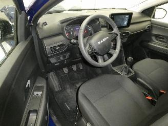 Dacia Sandero  picture 13