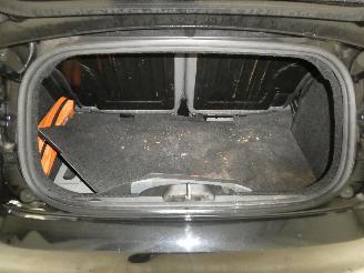 Fiat 500C  picture 19