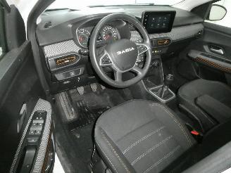 Dacia Sandero STEPWAY picture 13