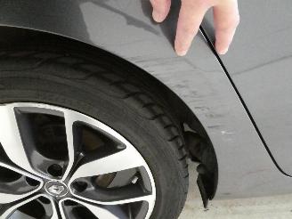 Renault Mégane IV BOSE EDITION picture 11