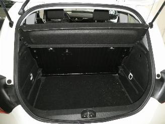 Opel Corsa-E OPC LINE picture 14