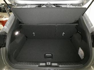 Ford Puma TITANIUM picture 18