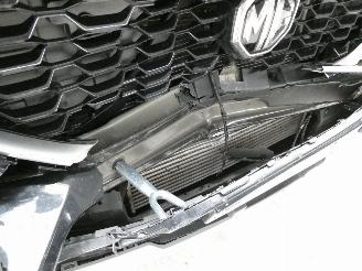 MG ZS 1.0 picture 17