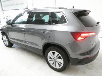 Skoda Karoq SELECTION picture 6