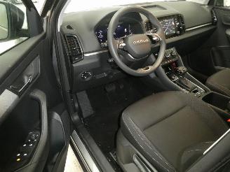 Skoda Karoq SELECTION picture 18