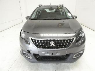 Peugeot 2008 ACTIVE picture 2