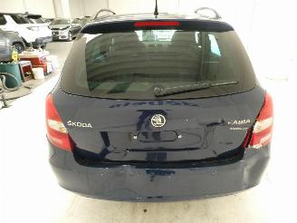 Skoda Fabia II ACTIVE picture 6