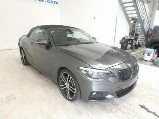 BMW 2-serie I picture 13