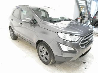 Ford EcoSport COOL&CONNECT picture 13