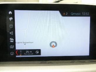 BMW X1 SDRIVE18I picture 15