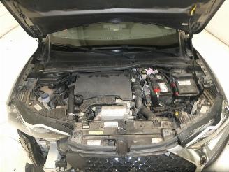 DS Automobiles DS 3 CROSSBACK BASTIL picture 21