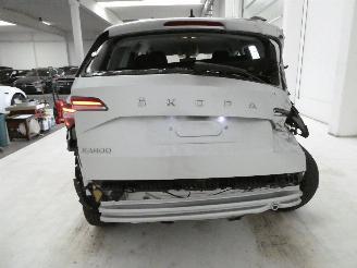 Skoda Karoq AMBITION picture 5