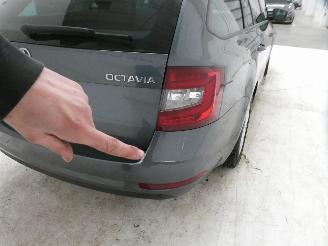 Skoda Octavia AMBITION picture 13