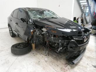 Renault Arkana  picture 18