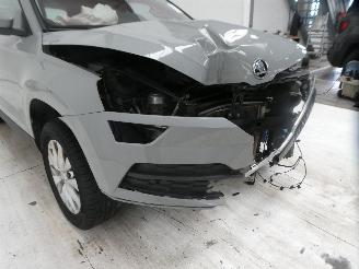 Skoda Karoq AMBITION picture 12