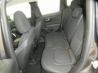 Jeep Renegade LIMITED picture 19