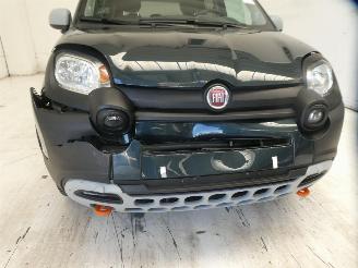 Fiat Panda CITY CROSS picture 11