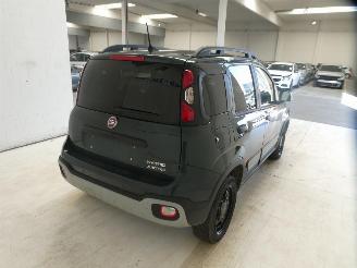 Fiat Panda CITY CROSS picture 8